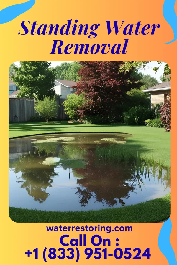 Standing Water Removal in Wellington, CO